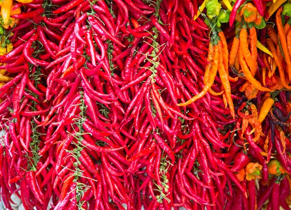Suché chilli papričky — Stock fotografie