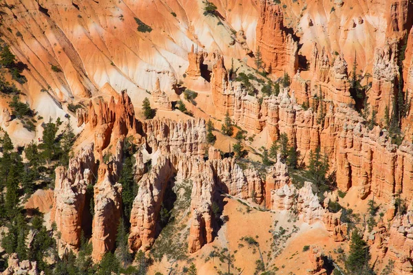 Bryce Canyon Nemzeti Park — Stock Fotó