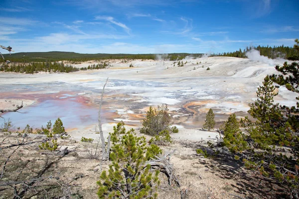 Norris Gayzer Havzası