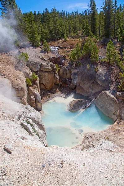 Norris geyser basin — Stock Photo, Image