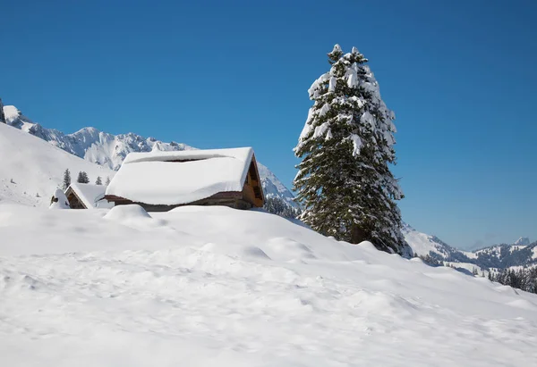 Inverno nelle Alpi svizzere — Foto Stock