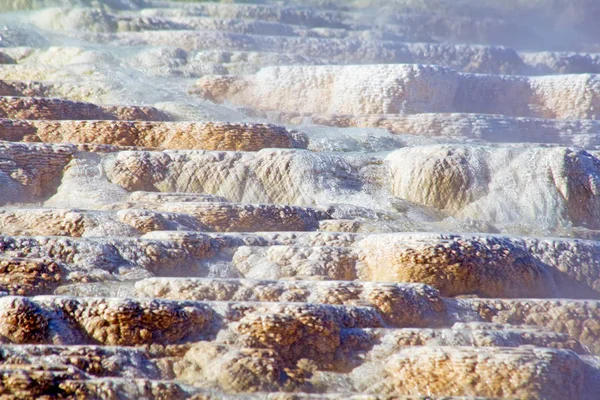 Mammoth hot springs — Stock Fotó