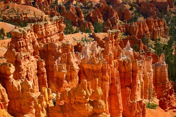 Bryce canyon national park — Stock Photo, Image