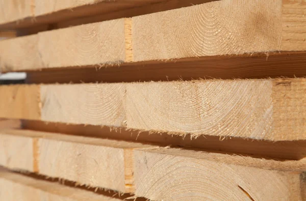 Свежие деревянные шпильки — стоковое фото