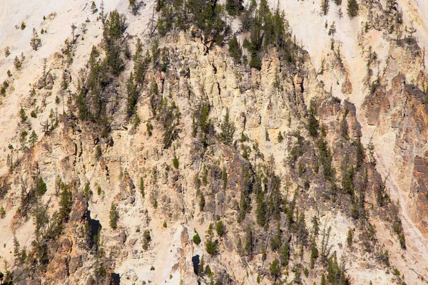 ellowstone Milli Parkı