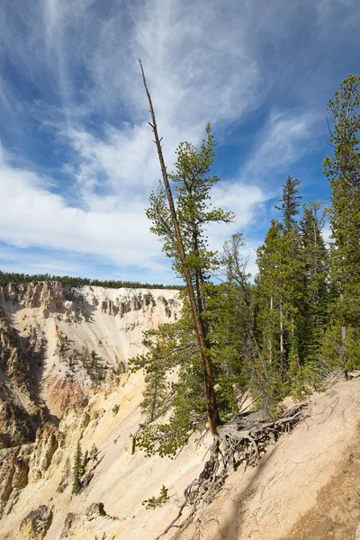 ellowstone Milli Parkı