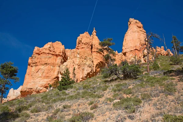 Parc national du Canyon-Bryce — Photo