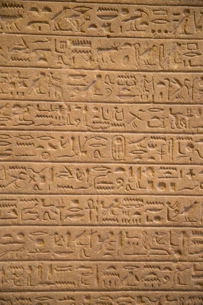 Egyptian hieroglyphs on wall — Stock Photo, Image