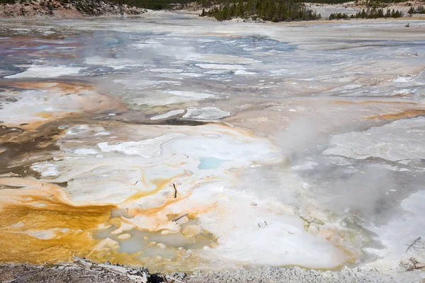 Norris geyser basin — Stock Photo, Image