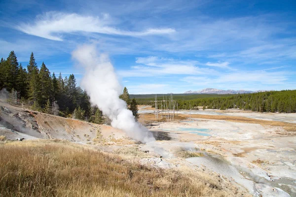 Norris Geysers bäcken — Stockfoto