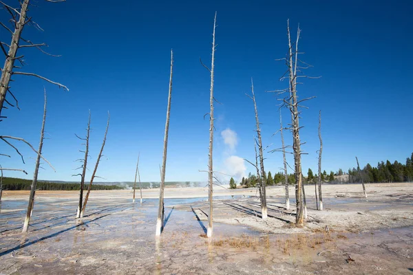 alt Şofben Havzası