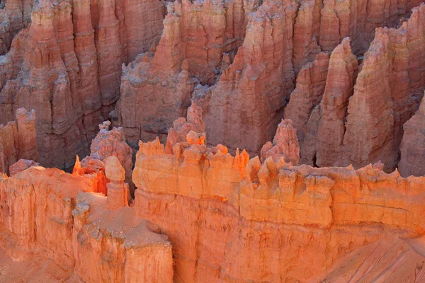 Bryce canyon national park — Stock Photo, Image