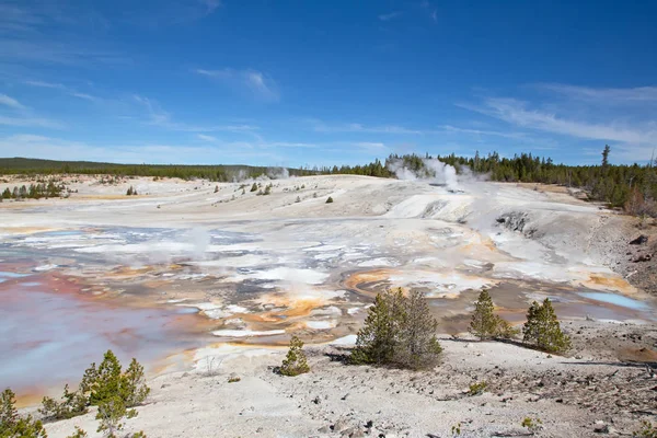 Norris geyser basin — Stock Photo, Image