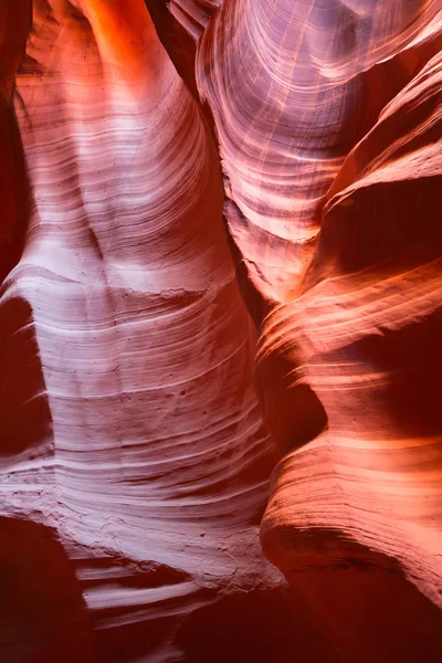 Canyon antílope em arizona — Fotografia de Stock