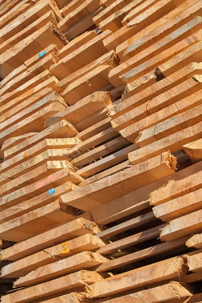 Borchie di legno fresco — Foto Stock