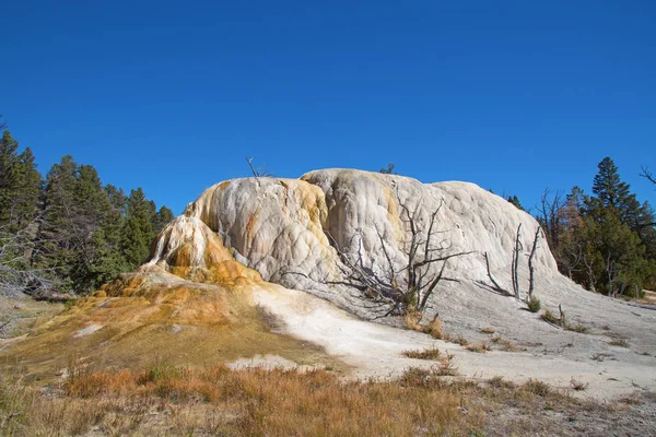 Mammoth hot springs — Stock Photo, Image