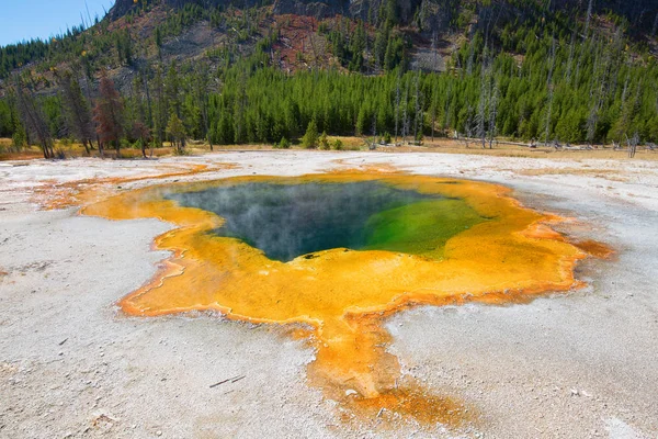 Yellowstone Milli Parkı
