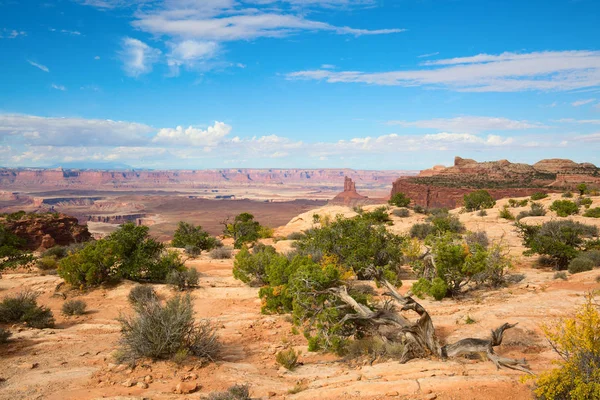 Canyonlands Milli Parkı 