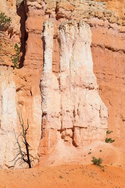 Bryce Canyon Nemzeti Park — Stock Fotó