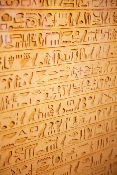 Egyptische hiërogliefen op muur — Stockfoto