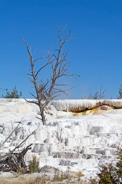 Mammoth hot springs — Stock Fotó