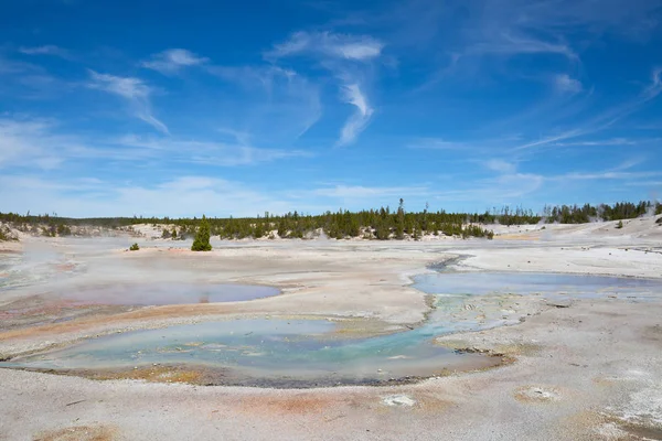 Norris Gayzer Havzası
