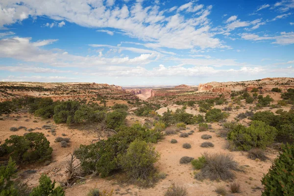 Canyonlands Milli Parkı — Stok fotoğraf