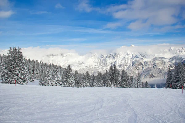 Vinter i schweiziska Alperna Stockfoto