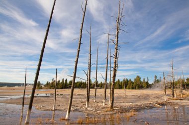 alt Şofben Havzası
