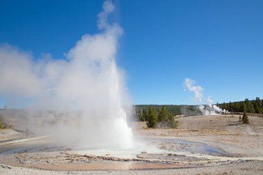 Yellowstone Milli Parkı