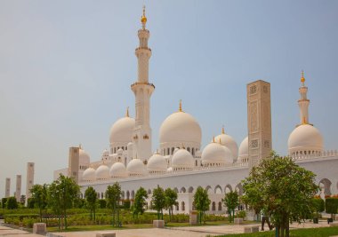 Sheikh zayed Camisi