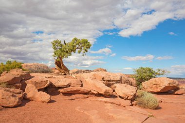 Canyonlands Narional Park