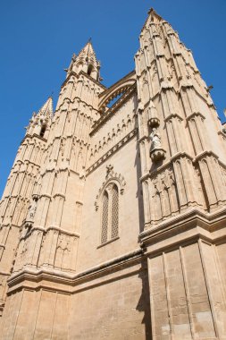 Palma de Mallorca şehir İspanya