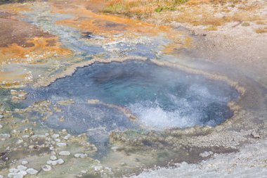 Yellowstone Milli Parkı
