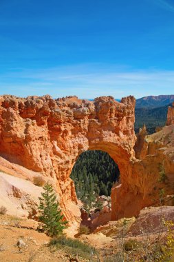 Bryce Kanyonu Ulusal Parkı 