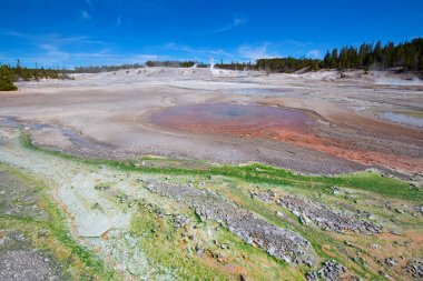 Norris Gayzer Havzası