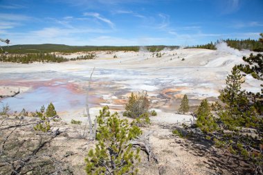 Norris Gayzer Havzası