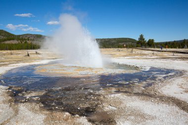 Yellowstone Milli Parkı
