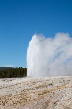 Koni Şofben Erüpsiyonu