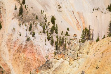 ellowstone Milli Parkı