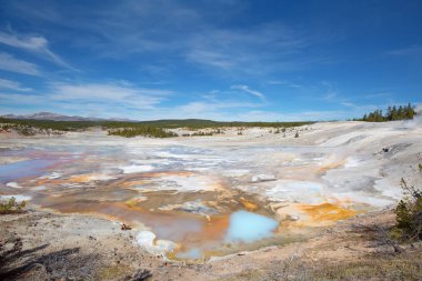 Norris Gayzer Havzası