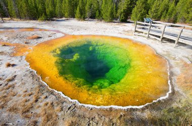 Yellowstone Milli Parkı