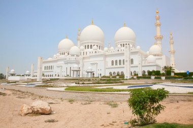 Sheikh zayed Camisi