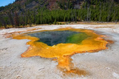 Yellowstone Milli Parkı