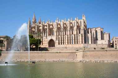 Palma de Mallorca şehir İspanya