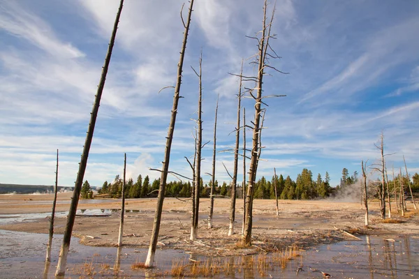 alt Şofben Havzası