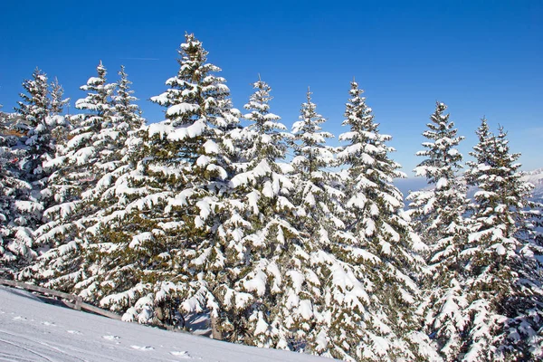 Зима в снігових альпах — стокове фото