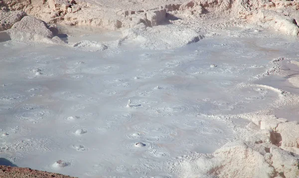 Λεκάνη Norris Geyser — Φωτογραφία Αρχείου