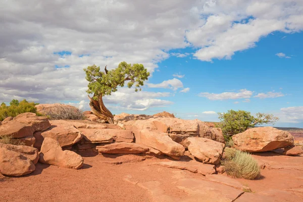 Canyonlands Narional Park — Stockfoto