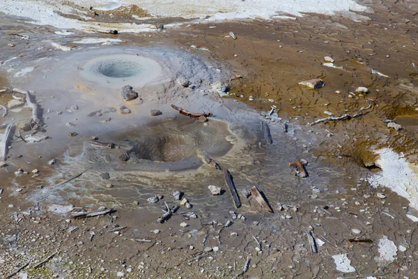 Norris geyser basin — Stock Photo, Image